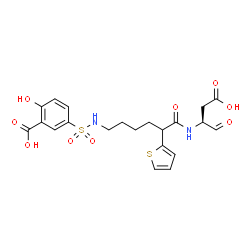 ChemSpider 2D Image | 5-{[6-{[(2S)-1-Carboxy-3-oxo-2-propanyl]amino}-6-oxo-5-(2-thienyl)hexyl]sulfamoyl}-2-hydroxybenzoic acid | C21H24N2O9S2