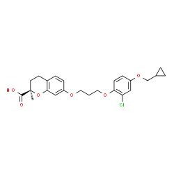 ChemSpider 2D Image | (2R)-7-{3-[2-Chloro-4-(cyclopropylmethoxy)phenoxy]propoxy}-2-methyl-2-chromanecarboxylic acid | C24H27ClO6
