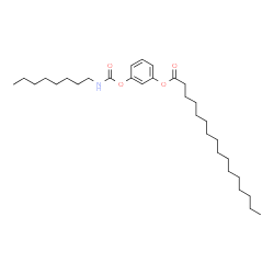 ChemSpider 2D Image | 3-[(Octylcarbamoyl)oxy]phenyl palmitate | C31H53NO4