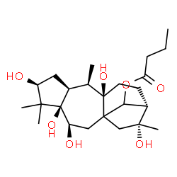 ChemSpider 2D Image | (3beta,6beta,13beta)-3,5,6,9,16-Pentahydroxygrayanotoxan-14-yl butyrate | C24H40O7