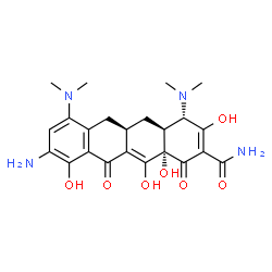ChemSpider 2D Image | 9-Aminominocycline | C23H28N4O7