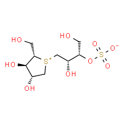 ChemSpider 2D Image | (2S,3S)-4-[(2S,3R,4R)-3,4-Dihydroxy-2-(hydroxymethyl)tetrahydro-1-thiopheniumyl]-1,3-dihydroxy-2-butanyl sulfate | C9H18O9S2