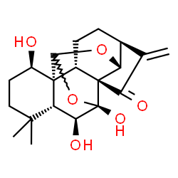 ChemSpider 2D Image | (1R,2S,5S,8R,9R,13R,14S,15R,19R)-13,14,19-Trihydroxy-16,16-dimethyl-6-methylene-10,12-dioxahexacyclo[9.8.0.0~1,15~.0~2,8~.0~5,9~.0~8,13~]nonadecan-7-one | C20H26O6