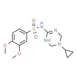 ChemSpider 2D Image | N-(5-Cyclopropyl-1,4,5,6-tetrahydro-1,3,5-triazin-2-yl)-3,4-dimethoxybenzenesulfonamide | C14H20N4O4S