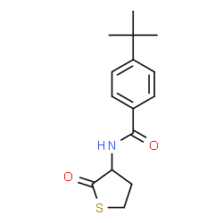 ChemSpider 2D Image | 4-(2-Methyl-2-propanyl)-N-(2-oxotetrahydro-3-thiophenyl)benzamide | C15H19NO2S
