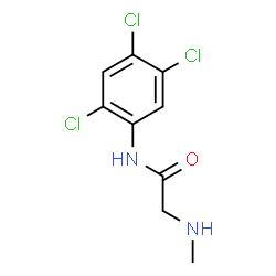 ChemSpider 2D Image | N~2~-Methyl-N-(2,4,5-trichlorophenyl)glycinamide | C9H9Cl3N2O