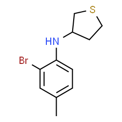 ChemSpider 2D Image | N-(2-Bromo-4-methylphenyl)tetrahydro-3-thiophenamine | C11H14BrNS