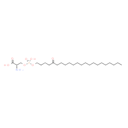 ChemSpider 2D Image | O-{Hydroxy[(5-oxodocosyl)oxy]phosphoryl}-L-serine | C25H50NO7P