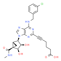 ChemSpider 2D Image | 6-{6-[(3-Chlorobenzyl)amino]-9-[(1R,2R,3R,4S,5R)-3,4-dihydroxy-5-(methylcarbamoyl)bicyclo[3.1.0]hex-2-yl]-9H-purin-2-yl}-5-hexynoic acid | C26H27ClN6O5