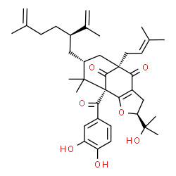 ChemSpider 2D Image | (1R,4S,8S,10R)-1-(3,4-Dihydroxybenzoyl)-4-(2-hydroxy-2-propanyl)-10-[(2R)-2-isopropenyl-5-methyl-5-hexen-1-yl]-11,11-dimethyl-8-(3-methyl-2-buten-1-yl)-3-oxatricyclo[6.3.1.0~2,6~]dodec-2(6)-ene-7,12-d
ione | C38H50O7