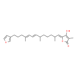 ChemSpider 2D Image | (5Z)-5-[(7E,9E)-13-(3-Furyl)-2,6,10-trimethyl-7,9-tridecadien-1-ylidene]-4-hydroxy-3-methyl-2(5H)-furanone | C25H34O4