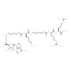 ChemSpider 2D Image | (10R,20S,23S)-10-(4-Aminobutyl)-1-[(2S,3S,4R,5R)-5-(6-amino-9H-purin-9-yl)-3,4-dihydroxytetrahydro-2-furanyl]-20,23-bis(3-carbamimidamidopropyl)-1,8,11,18,21-pentaoxo-2,9,12,19,22-pentaazatetracosan-2
4-amide (non-preferred name) | C40H70N18O9