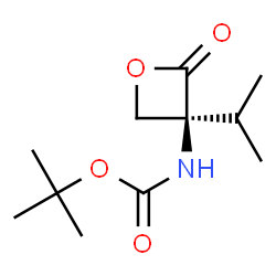 ChemSpider 2D Image | 2-Methyl-2-propanyl [(3S)-3-isopropyl-2-oxo-3-oxetanyl]carbamate | C11H19NO4