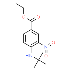 ChemSpider 2D Image | Ethyl 4-[(2-methyl-2-propanyl)amino]-3-nitrobenzoate | C13H18N2O4
