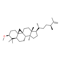 ChemSpider 2D Image | (3beta,9beta,24S)-3-Methoxy-24-methyl-9,19-cyclolanost-25-ene | C32H54O