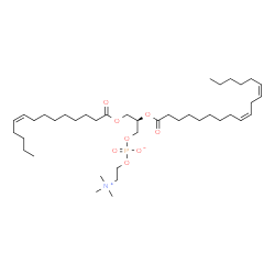 ChemSpider 2D Image | PC(14:1(9Z)/18:2(9Z,12Z)) | C40H74NO8P