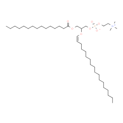 ChemSpider 2D Image | 2-[(1Z)-1-Octadecen-1-yloxy]-3-(pentadecanoyloxy)propyl 2-(trimethylammonio)ethyl phosphate | C41H82NO7P