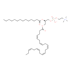 ChemSpider 2D Image | 1-MYRISTOYL-2-DOCOSAHEXANOYL-SN-GLYCERO-3-PHOSPHOCHOLINE | C44H76NO8P
