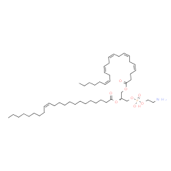 ChemSpider 2D Image | (2R)-3-{[(2-Aminoethoxy)(hydroxy)phosphoryl]oxy}-2-[(13Z)-13-docosenoyloxy]propyl (4Z,7Z,10Z,13Z,16Z)-4,7,10,13,16-docosapentaenoate | C49H86NO8P