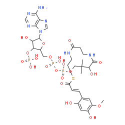 ChemSpider 2D Image | S-{1-[5-(6-Amino-9H-purin-9-yl)-4-hydroxy-3-(phosphonooxy)tetrahydro-2-furanyl]-3,5,9-trihydroxy-8,8-dimethyl-3,5-dioxido-10,14-dioxo-2,4,6-trioxa-11,15-diaza-3lambda~5~,5lambda~5~-diphosphaheptadecan
-17-yl} (2E)-3-(2,4-dihydroxy-5-methoxyphenyl)-2-propenethioate | C31H44N7O20P3S