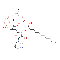 ChemSpider 2D Image | [3-acetamido-5-hydroxy-6-(hydroxymethyl)-4-(3-hydroxytetradecanoyloxy)tetrahydropyran-2-yl] [[5-(2,4-dioxopyrimidin-1-yl)-3,4-dihydroxy-tetrahydrofuran-2-yl]methoxy-oxido-phosphoryl] phosphate | C31H51N3O19P2
