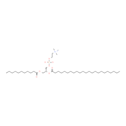 ChemSpider 2D Image | (2R)-2-(Tricosanoyloxy)-3-(undecanoyloxy)propyl 2-(trimethylammonio)ethyl phosphate | C42H84NO8P