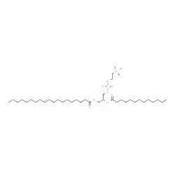 ChemSpider 2D Image | (2R)-3-(Nonadecanoyloxy)-2-(tridecanoyloxy)propyl 2-(trimethylammonio)ethyl phosphate | C40H80NO8P