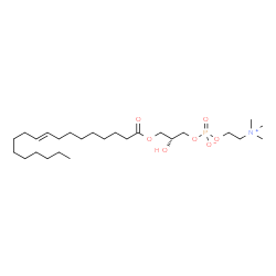ChemSpider 2D Image | 1-elaidoyl-sn-glycero-3-phosphocholine | C26H52NO7P