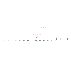 ChemSpider 2D Image | (2R)-3-{[(2-Aminoethoxy)(hydroxy)phosphoryl]oxy}-2-{[8-(tetracyclo[6.4.0.0~2,7~.0~3,6~]dodec-10-yl)octyl]oxy}propyl myristate | C39H72NO7P