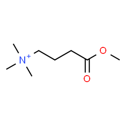 ChemSpider 2D Image | 4-Methoxy-N,N,N-trimethyl-4-oxo-1-butanaminium | C8H18NO2