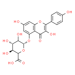 ChemSpider 2D Image | 3,7-Dihydroxy-2-(4-hydroxyphenyl)-4-oxo-4H-chromen-5-yl beta-D-threo-hexopyranosiduronic acid | C21H18O12