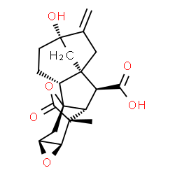 ChemSpider 2D Image | (1R,2R,5S,8S,9S,10R,11R,12R,14S)-5-Hydroxy-11-methyl-6-methylene-17-oxo-13,16-dioxahexacyclo[9.4.2.1~5,8~.0~1,10~.0~2,8~.0~12,14~]octadecane-9-carboxylic acid | C19H22O6