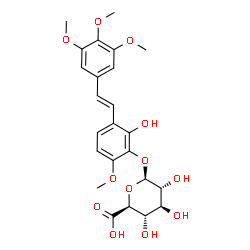ChemSpider 2D Image | 2-Hydroxy-6-methoxy-3-[(E)-2-(3,4,5-trimethoxyphenyl)vinyl]phenyl beta-D-glucopyranosiduronic acid | C24H28O12