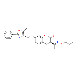 ChemSpider 2D Image | (2R,3E)-2-{4-[(5-Methyl-2-phenyl-1,3-oxazol-4-yl)methoxy]benzyl}-3-(propoxyimino)butanoic acid | C25H28N2O5