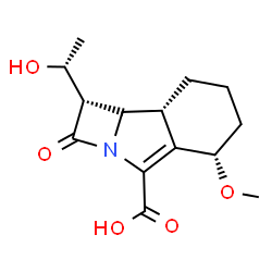 ChemSpider 2D Image | (1S,5S,8aR,8bR)-1-[(1R)-1-Hydroxyethyl]-5-methoxy-2-oxo-1,2,5,6,7,8,8a,8b-octahydroazeto[2,1-a]isoindole-4-carboxylic acid | C14H19NO5