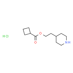 ChemSpider 2D Image | 2-(4-Piperidinyl)ethyl cyclobutanecarboxylate hydrochloride (1:1) | C12H22ClNO2