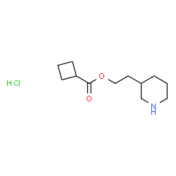 ChemSpider 2D Image | 2-(3-Piperidinyl)ethyl cyclobutanecarboxylate hydrochloride (1:1) | C12H22ClNO2