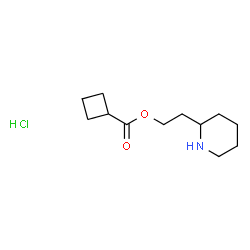 ChemSpider 2D Image | 2-(2-Piperidinyl)ethyl cyclobutanecarboxylate hydrochloride (1:1) | C12H22ClNO2