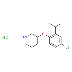 ChemSpider 2D Image | 3-(4-Chloro-2-isopropylphenoxy)piperidine hydrochloride | C14H21Cl2NO
