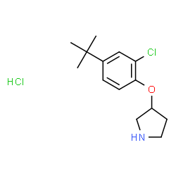 ChemSpider 2D Image | 3-(4-(tert-butyl)-2-chlorophenoxy)pyrrolidine hydrochloride | C14H21Cl2NO