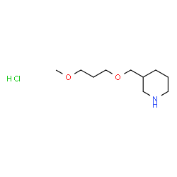 ChemSpider 2D Image | 3-((3-methoxypropoxy)methyl)piperidine hydrochloride | C10H22ClNO2
