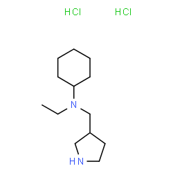 ChemSpider 2D Image | N-Ethyl-N-(3-pyrrolidinylmethyl)cyclohexanamine dihydrochloride | C13H28Cl2N2