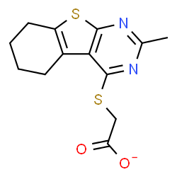 ChemSpider 2D Image | [(2-Methyl-5,6,7,8-tetrahydro[1]benzothieno[2,3-d]pyrimidin-4-yl)sulfanyl]acetate | C13H13N2O2S2