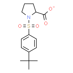 ChemSpider 2D Image | 1-{[4-(2-Methyl-2-propanyl)phenyl]sulfonyl}-2-pyrrolidinecarboxylate | C15H20NO4S