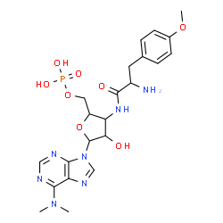 ChemSpider 2D Image | (3-{[2-Amino-3-(4-methoxyphenyl)propanoyl]amino}-5-[6-(dimethylamino)-9H-purin-9-yl]-4-hydroxytetrahydro-2-furanyl)methyl dihydrogen phosphate | C22H30N7O8P