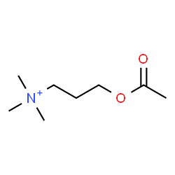 ChemSpider 2D Image | 3-Acetoxy-N,N,N-trimethyl-1-propanaminium | C8H18NO2