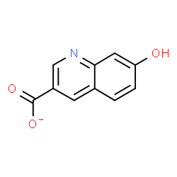 ChemSpider 2D Image | 7-Hydroxy-3-quinolinecarboxylate | C10H6NO3