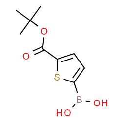 ChemSpider 2D Image | 5-tert-Butoxycarbonylthiophene-2-boronic acid | C9H13BO4S