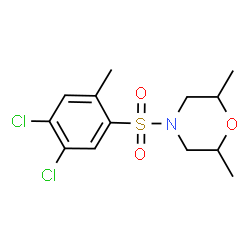 ChemSpider 2D Image | 4-[(4,5-Dichloro-2-methylphenyl)sulfonyl]-2,6-dimethylmorpholine | C13H17Cl2NO3S
