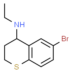 ChemSpider 2D Image | 6-Bromo-N-ethyl-4-thiochromanamine | C11H14BrNS